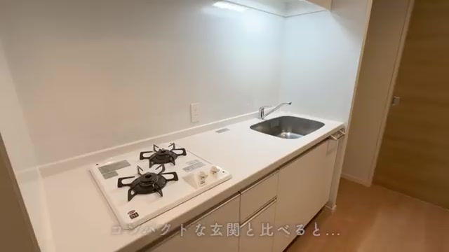 福岡市南区の1LDKのキッチン（室内・外観の様子）