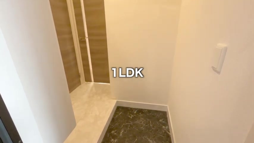 1LDKの玄関（室内・外観の様子）