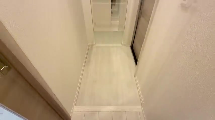 広島市南区の1LDKの玄関(室内・外観の様子)