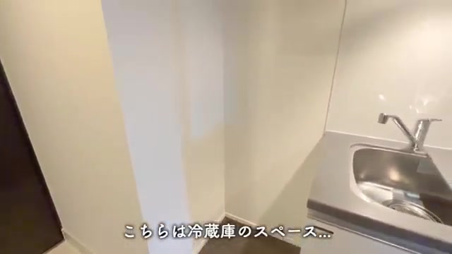 横浜市南区の1Kのキッチン(室内・外観の様子)