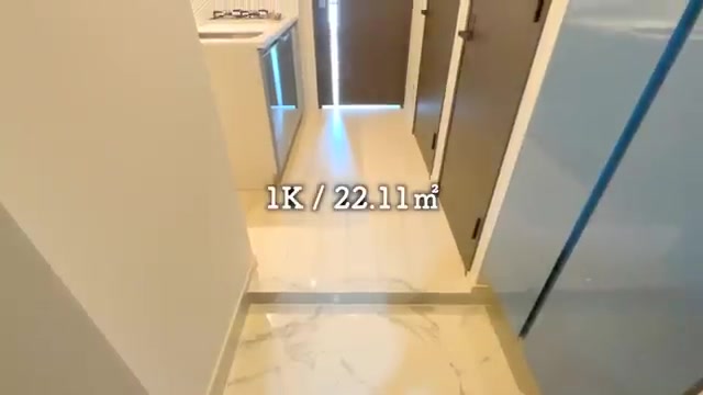 横浜市南区の1Kの玄関→キッチン→トイレ(室内・外観の様子)