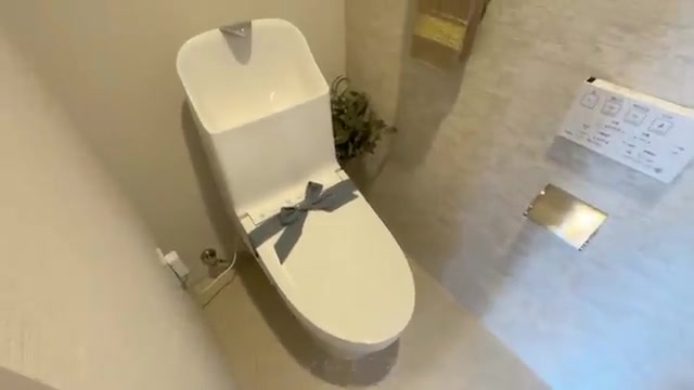 国立市の2LDKのトイレ(室内・外観の様子)