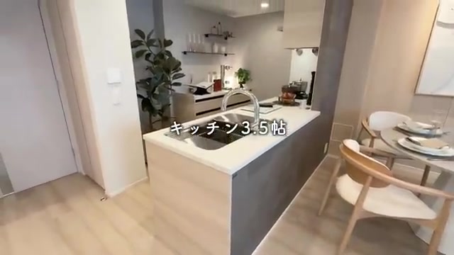 国立市の2LDKのキッチン(室内・外観の様子)