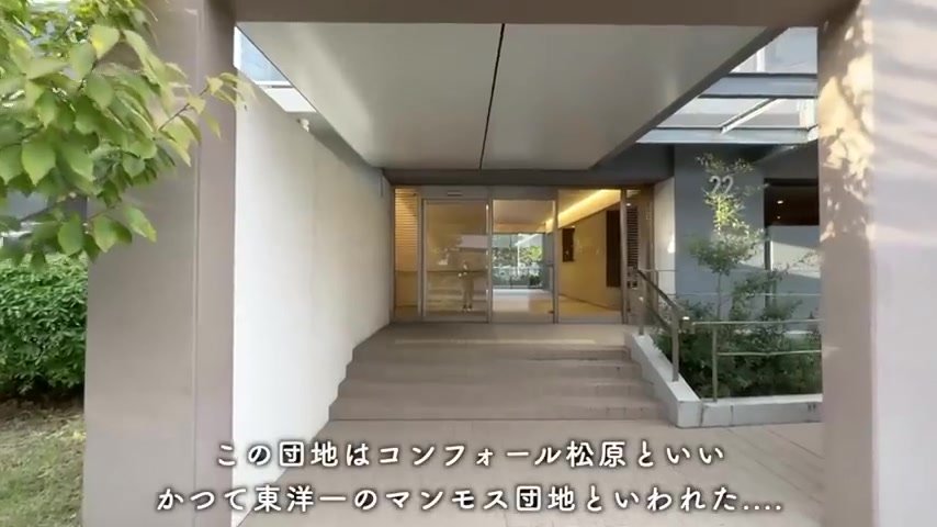 コンフォール松原の外観・共用部(室内・外観の様子)