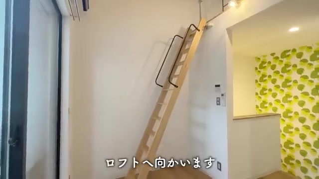 廿日市市の1Rのロフト（室内・外観の様子）