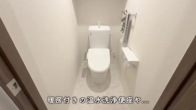 大阪市阿倍野区の2LDKのトイレ(室内・外観の様子)