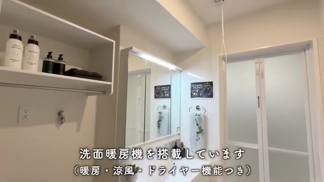 大阪市阿倍野区の2LDKの洗面室(室内・外観の様子)