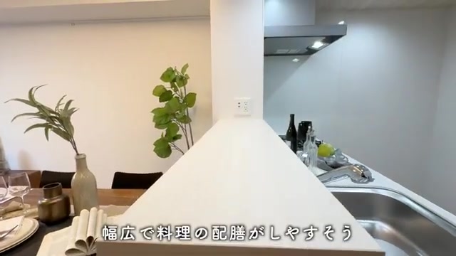 大阪市阿倍野区の2LDKのキッチン(室内・外観の様子)