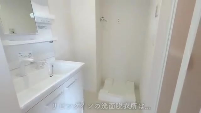 東広島市の1LDKの洗面所(室内・外観の様子)