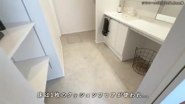 草津市の3LDKの洗面室(室内・外観の様子)