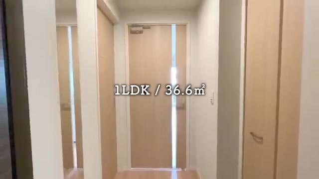 広島市中区の1LDKの玄関(室内・外観の様子)