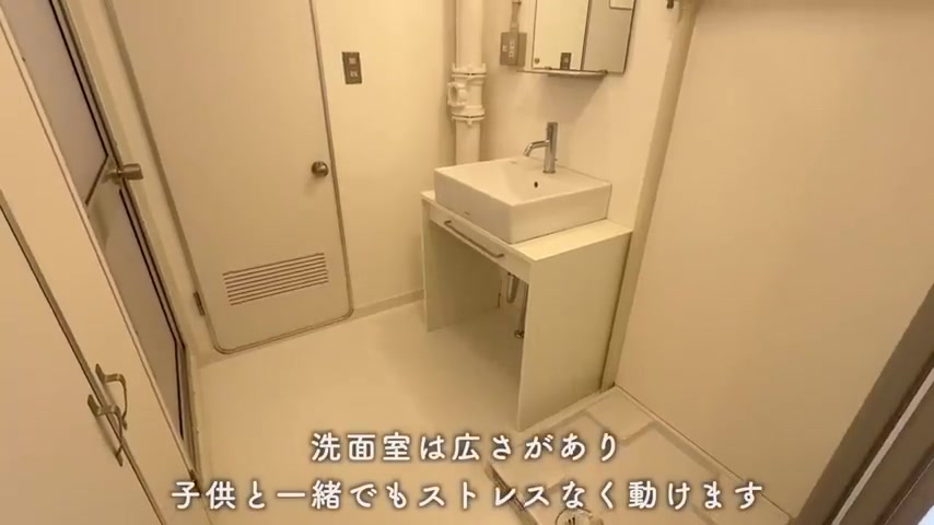 葛飾区の2LDKの洗面室(室内・外観の様子)