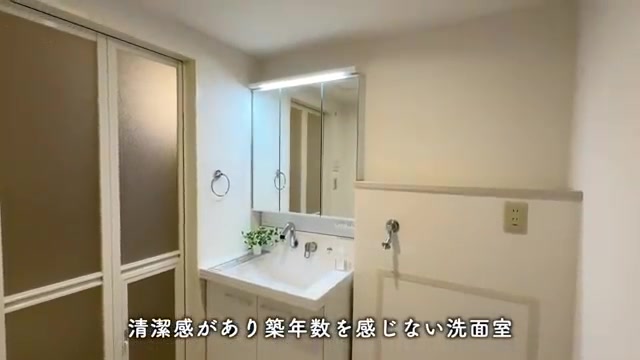 名古屋市北区の2LDKの洗面台(室内・外観の様子)