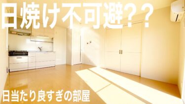 この賃貸アリ？ナシ？ニトリの商品を使えば快適空間になる間取りのお部屋【案件じゃないヨ】