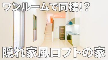 【変わった間取り×賃貸アパート】秘密基地風ロフト付きの個性的な間取りの賃貸アパート（ワンルーム/30.88㎡）
