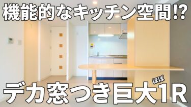 【お部屋の内見動画】壁一面の大きな窓と開放感のあるデザイナーズ空間の賃貸（1LDK/45㎡）