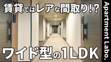 【福岡県の賃貸】ワイドバルコニーと収納を極めた設計の賃貸（福岡市博多区博多駅南二丁目/1LDK/33.84㎡）