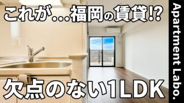 【福岡県の賃貸】ほぼ全ての空間に備わった充実の収納の賃貸（福岡市中央区/1LDK/34.93㎡）
