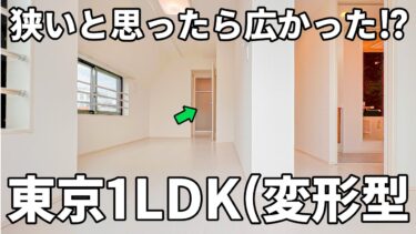 【賃貸マンション内見】窓が多く風抜けと採光に優れた個性的な間取りの賃貸マンション（江東区石島/1LDK/5㎡）