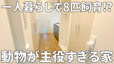 【イヌネコヒルズ】賃貸マンション（大田区//1K/5㎡）