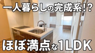 【広島県の賃貸アパート】賃貸アパート（広島市中区/1LDK/42.66㎡）