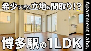 【福岡県の賃貸】博多駅直近で贅沢な設備が揃う1LDKの賃貸（福岡市博多区博多駅南/1LDK/45.28㎡）