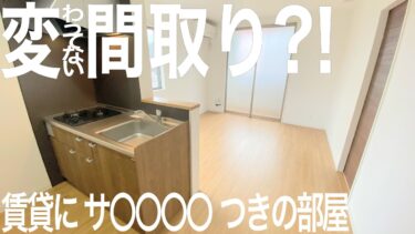 【自然に完全勝利する設備】物件（1LDK/49.05㎡）