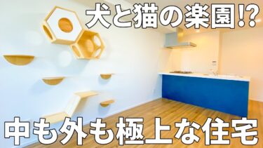 【一人暮らし×ペット】賃貸マンション（大田区//1LDK/5㎡）