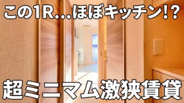 【一人暮らしの賃貸アパート内見】賃貸アパート（ワンルーム/20.25㎡）