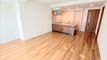【Japan Apartment Tour:1BED ROOM LUXURY APARTMENT】賃貸マンション