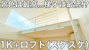 【賃貸マンション×Loft×眺望】賃貸マンション（広島市/1K/28㎡）