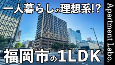 【RJRプレシア天神サウス】博多へのアクセスと充実の収納力の賃貸マンション（福岡市にある「RJRプレシア天神サウス」を見学。/1LDK/46.19㎡）