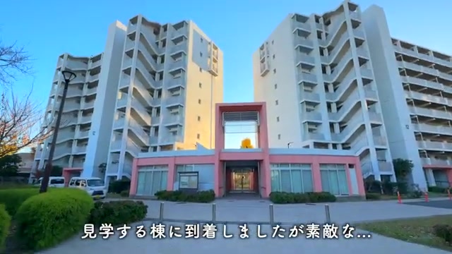 団地で二人暮らしのカーシェアと桜並木（室内・外観の様子）