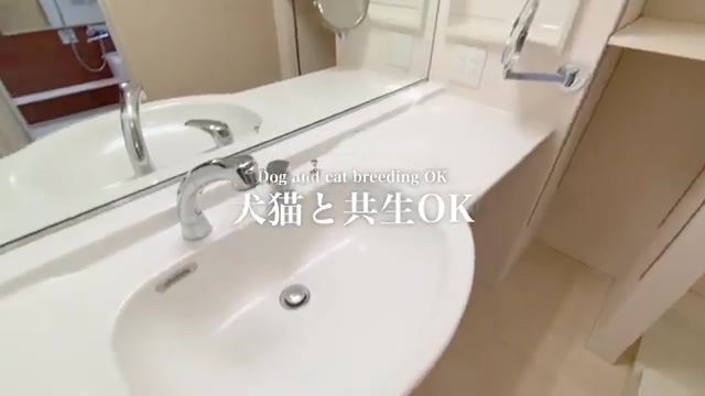 賃貸物件の内見動画の洗面所（室内・外観の様子）