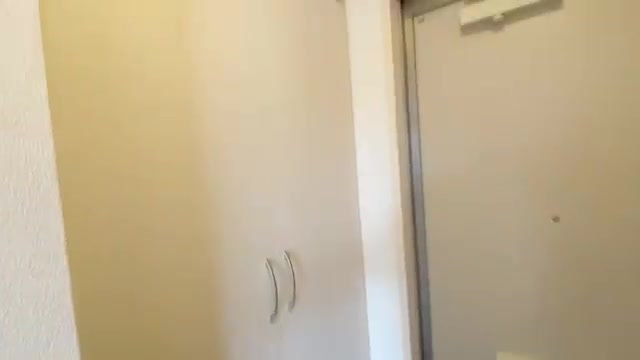 賃貸物件の内見動画の玄関（室内・外観の様子）