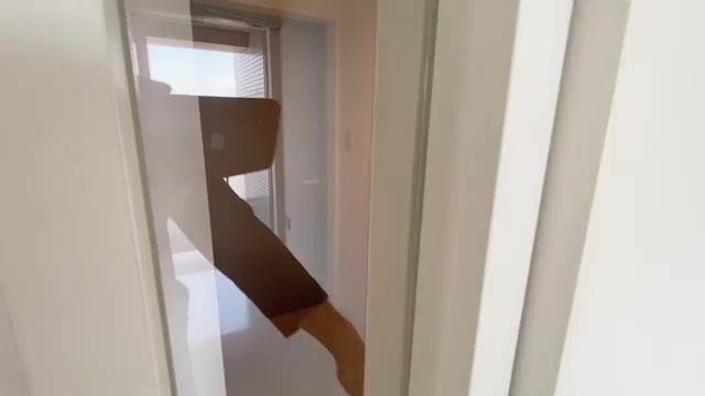賃貸アパートの内見動画の玄関（室内・外観の様子）