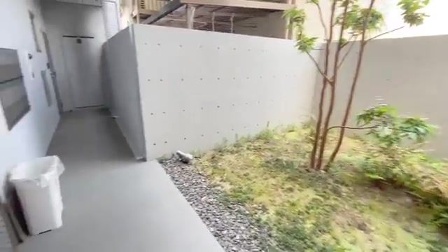 賃貸アパートの内見動画のエントランス（室内・外観の様子）