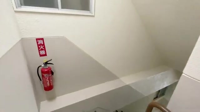 賃貸マンション×角部屋×フルリノベの廊下（室内・外観の様子）