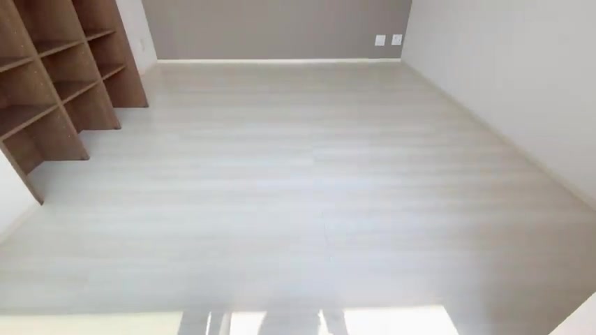 賃貸物件の内見動画のリビングダイニング(室内・外観の様子)