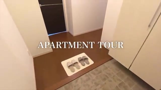賃貸物件の内見動画の玄関（室内・外観の様子）
