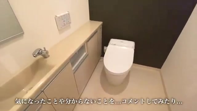賃貸物件の内見動画のトイレ（室内・外観の様子）