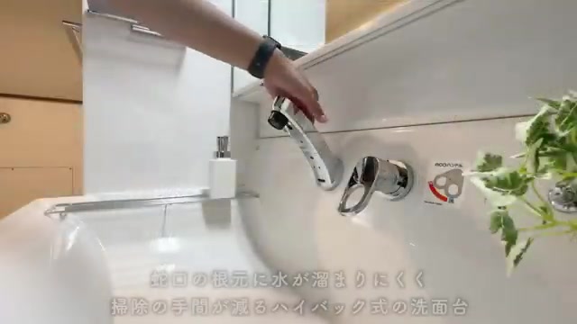 アーバンラフレ星ヶ丘の洗面室(室内・外観の様子)