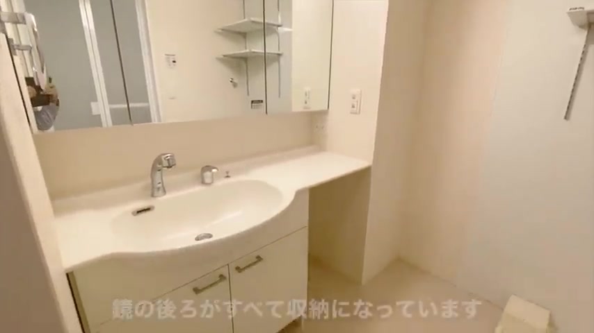 賃貸アパートの内見の洗面室（室内・外観の様子）