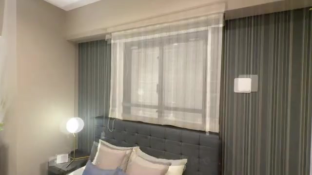 プレシス上福岡のサービスルーム(納戸)（室内・外観の様子）