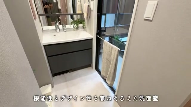 プレシス上福岡の洗面室（室内・外観の様子）