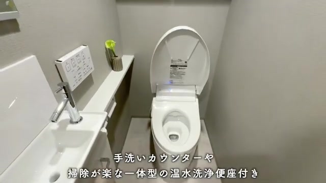 プレシス上福岡のトイレ（室内・外観の様子）