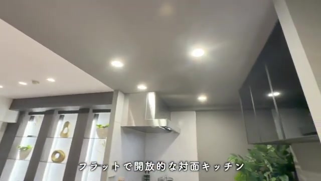 プレシス上福岡のリビングダイニング・キッチン（室内・外観の様子）