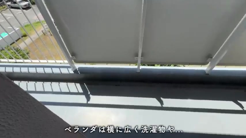 団地で一人暮らし&二人暮らしのバルコニー（室内・外観の様子）