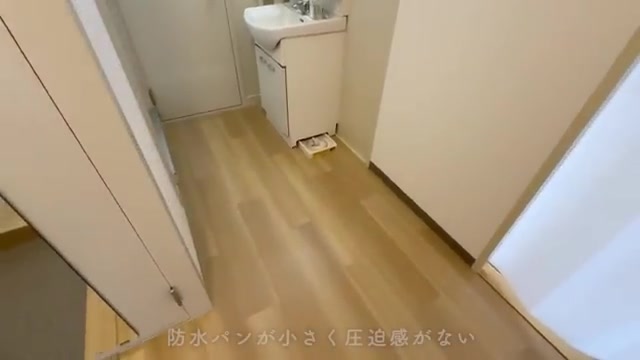 岩成台団地の洗面室(室内・外観の様子)