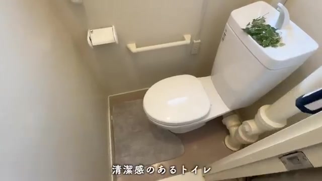 岩成台団地のトイレ(室内・外観の様子)
